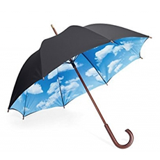 Regen