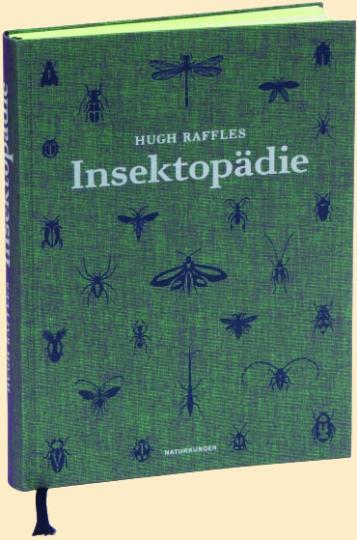 Hugh Raffles: Insektopädie 