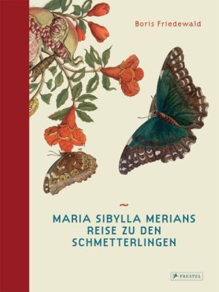 Boris Friedewald: Maria Sibylla Merians Reise zu den Schmetterlingen 