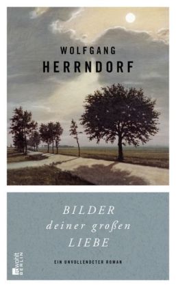 Wolfgang Herrndorf: Bilder deiner großen Liebe 