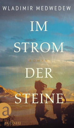 Wladimir Medwedew: Im Strom der Steine 