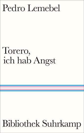 Pedro Lemebel: Torero, ich hab Angst 