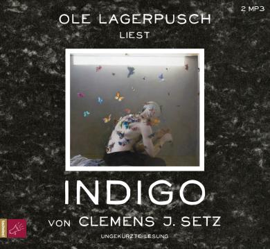 Clemens J. Setz: Indigo 