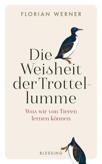 Florian Werner: Die Weisheit der Trottellumme 